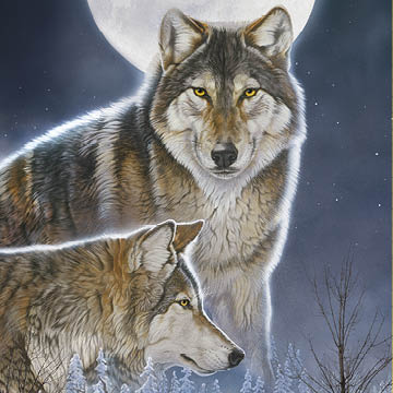 Naturescapes Wild At Heart